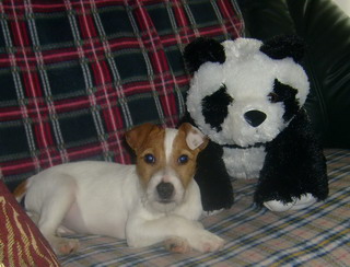 Hugo 27. 06. 2005 Hugo 27. 06. 2005